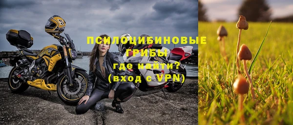 apvp Зеленокумск