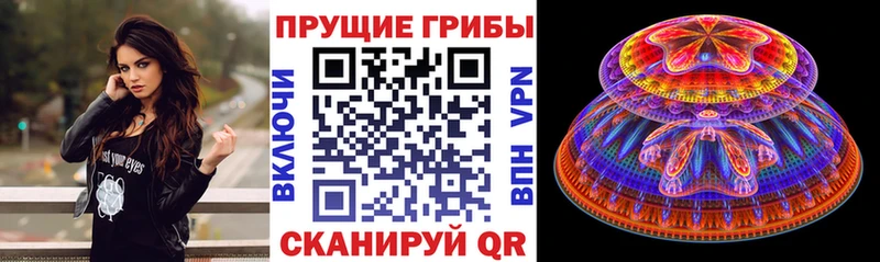 Купить  Нарьян-Мар  Псилоцибиновые грибы MAGIC MUSHROOMS 