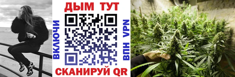 Купить  Нарьян-Мар  Канабис VHQ 
